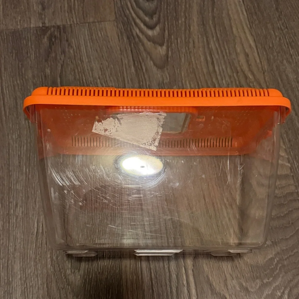 Clear Plastic Critter Carrier with Orange Ventilated Lid